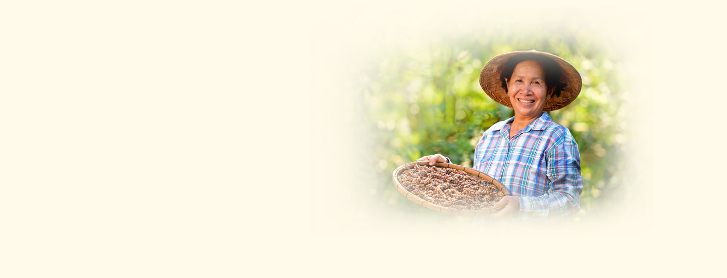 Hưởng vay ưu đãi – Vững lái kinh doanh 